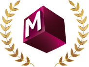 Image 49: Award of Overall Local Agency of the Year 2023 (Local Hero)